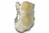 Botryoidal Yellow Fluorite Balls on Quartz - India #244499-1